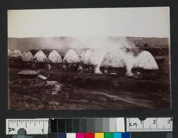 Ovens or kilns