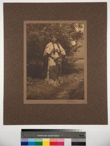 Wild Flowers. Taos Girl