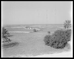 Go to image 12.