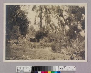 Go to image 1.