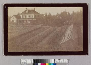 Raymond Nurseries, E. Pasadena, exterior view