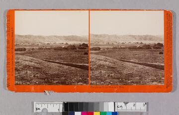 Pasadena from Bacon's Hill