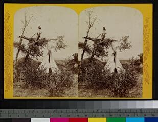 Go to image 1.