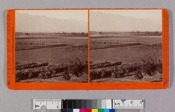 Pasadena, from Residence of Mrs. Carr