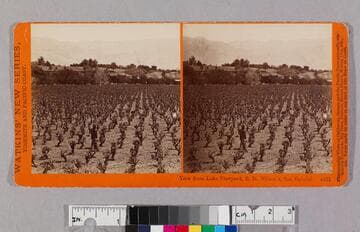 View from Lake Vineyard, B. D. Wilson's, San Gabriel