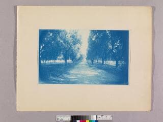 Go to image 9.