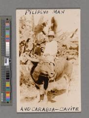 Go to image 19.