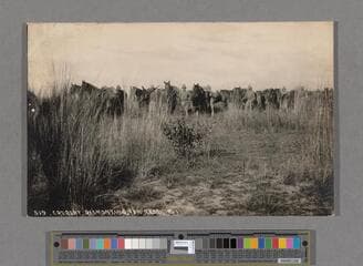 Go to image 303.