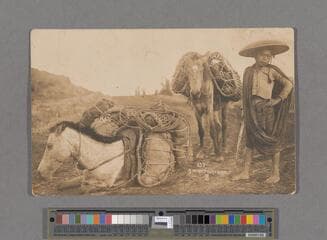 Go to image 147.