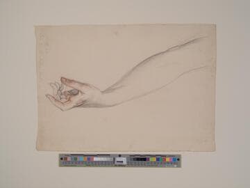 Lady Stanhope's Hand
