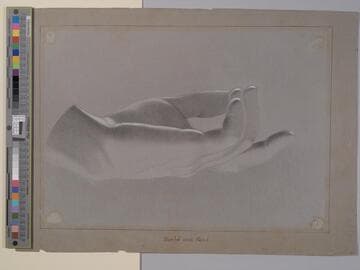 Man Blowing a Trumpet