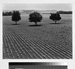 Go to image 1.