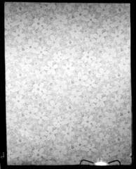 Go to image 9.