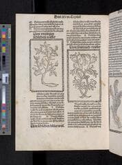 Go to image 254.