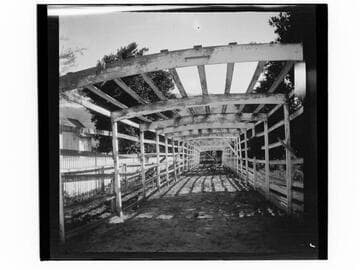 Rancho Camulos grape arbor