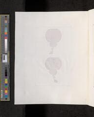 Go to image 294.