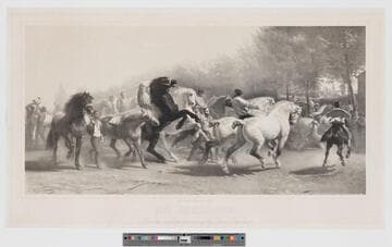 The horse fair from the celebrated painting by Rosa Bonheur