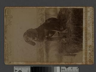 Go to image 1.