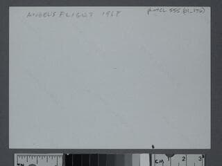 Go to image 2.