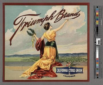 Triumph Brand
