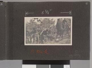 Go to image 13.