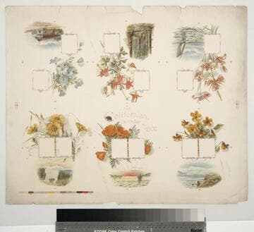 The Californian calendar for 1900