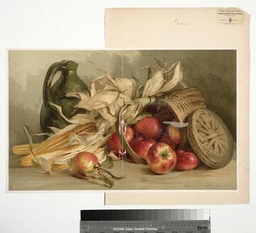 Indian corn and apples