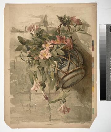 [Wild roses and morning glories]