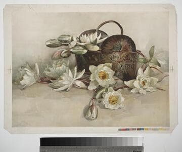 [Water lilies and basket]