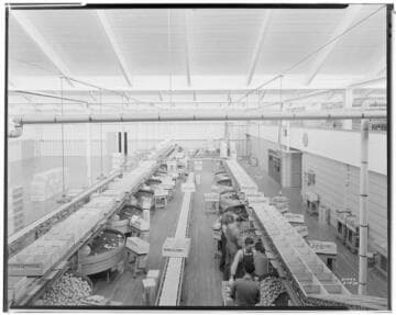 L1.8 - Lighting, Packing Plants