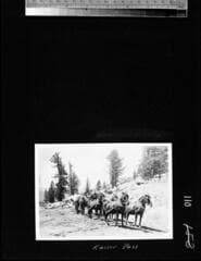 Go to image 114.