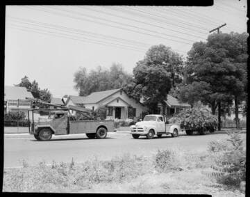 Work crew trees near distribution line