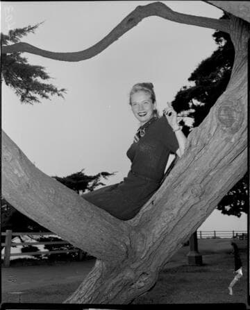 Young lady in a skirt and sweater posed sitting in a tree near the beach