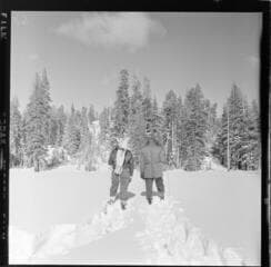 Go to image 16.