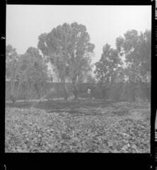Go to image 13.