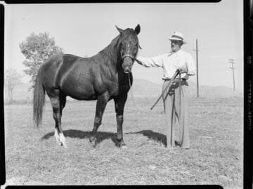 Man in coral with horse on bridle