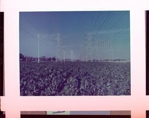 Go to image 3.