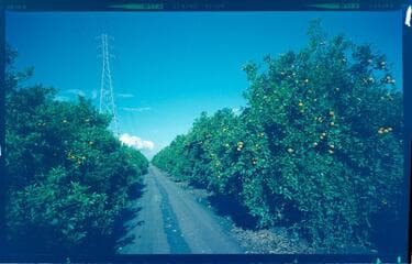 Go to image 7.