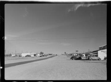Joshua Tree