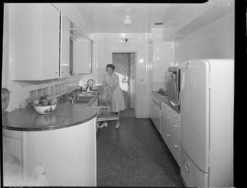 Domestic