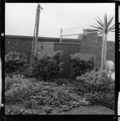 Go to image 6.