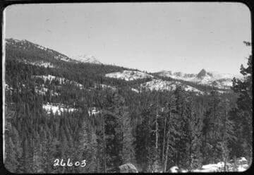 Fish Valley