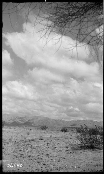 Boulder-Chino Transmission Line (3rd)