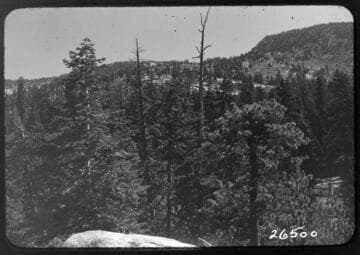 Fish Valley