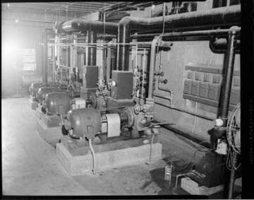 Workers processing butchered and dressed poultry chickens] at Norbest Turkeys