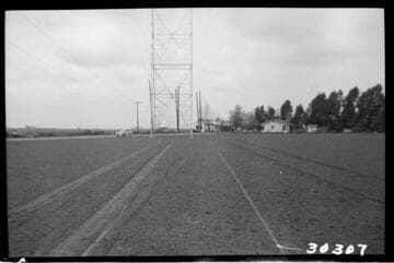 Vincent Transmission Line