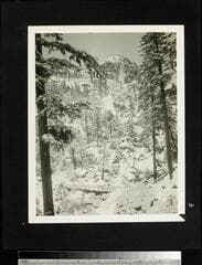 Go to image 4.