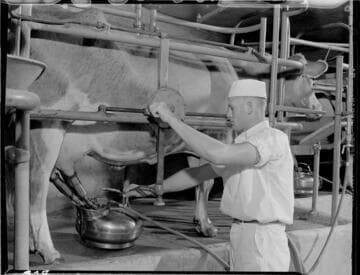 Musser Dairy Parlor