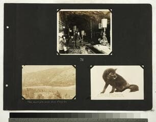 Go to image 71.