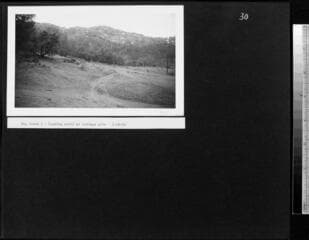 Go to image 31.